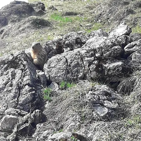 招待所 豪斯克里斯托旅馆 基茨比厄尔