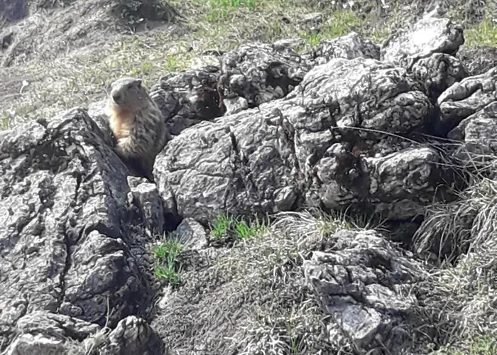 Maison d'hôtes Christl, Haus Kitzbühel