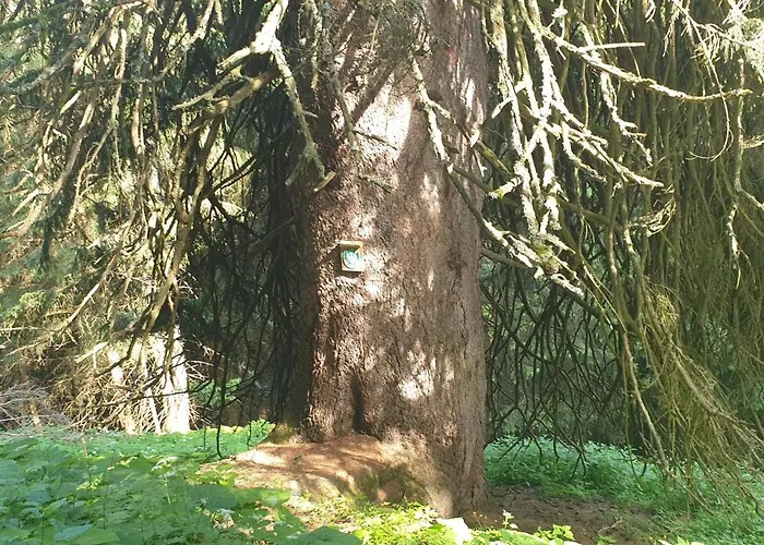 Christl, Haus Maison d'hôtes